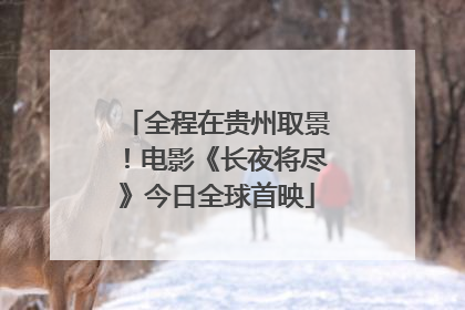 全程在贵州取景！电影《长夜将尽》今日全球首映