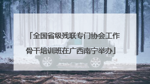 全国省级残联专门协会工作骨干培训班在广西南宁举办