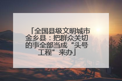 全国县级文明城市金乡县：把群众关切的事全部当成“头号工程”来办