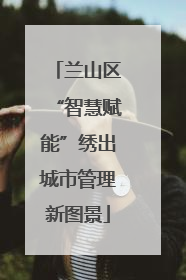 兰山区“智慧赋能”绣出城市管理新图景