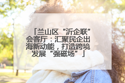 兰山区“沂企联”会客厅：汇聚民企出海新动能，打造跨境发展“强磁场”