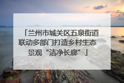 兰州市城关区五泉街道联动多部门打造乡村生态景观“洁净长廊”
