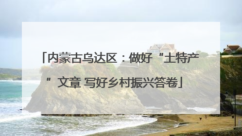 内蒙古乌达区：做好“土特产”文章 写好乡村振兴答卷