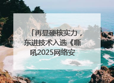 再显硬核实力，东进技术入选《嘶吼2025网络安全产业图谱》