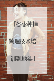 冬枣种植管理技术培训到地头