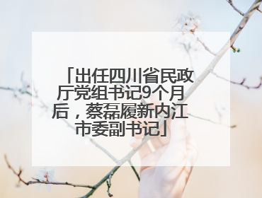 出任四川省民政厅党组书记9个月后，蔡磊履新内江市委副书记