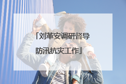 刘革安调研督导防汛抗灾工作