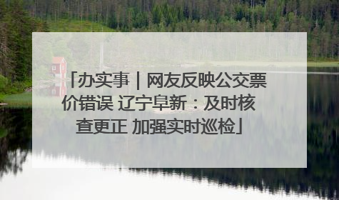 办实事｜网友反映公交票价错误 辽宁阜新：及时核查更正 加强实时巡检