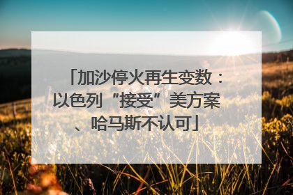 加沙停火再生变数：以色列“接受”美方案、哈马斯不认可