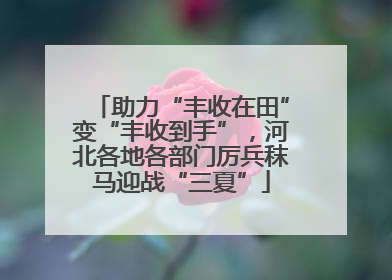 助力“丰收在田”变“丰收到手”，河北各地各部门厉兵秣马迎战“三夏”
