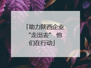 助力陕西企业“走出去” 他们在行动