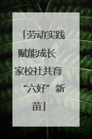 劳动实践赋能成长 家校社共育“六好”新苗