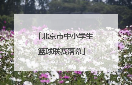 北京市中小学生篮球联赛落幕