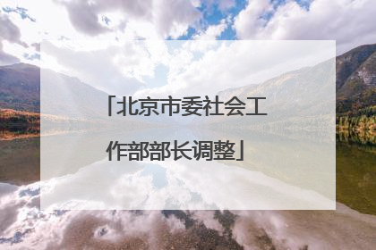 北京市委社会工作部部长调整