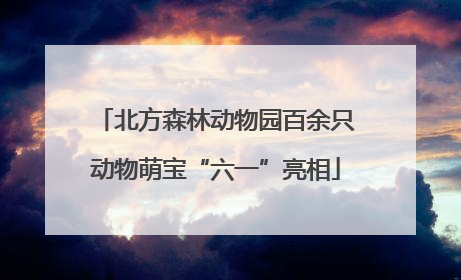 北方森林动物园百余只动物萌宝“六一”亮相