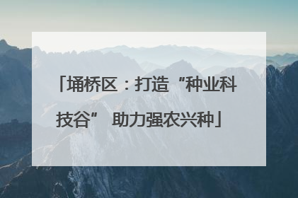埇桥区：打造“种业科技谷” 助力强农兴种