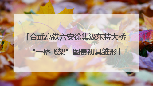 合武高铁六安徐集汲东特大桥“一桥飞架”图景初具雏形