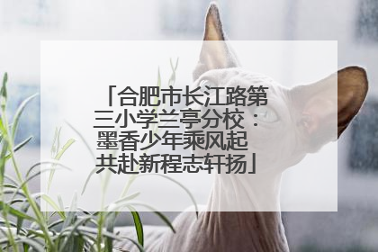 合肥市长江路第三小学兰亭分校：墨香少年乘风起 共赴新程志轩扬