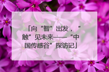 向“智”出发，“触”见未来——“中国传感谷”探访记