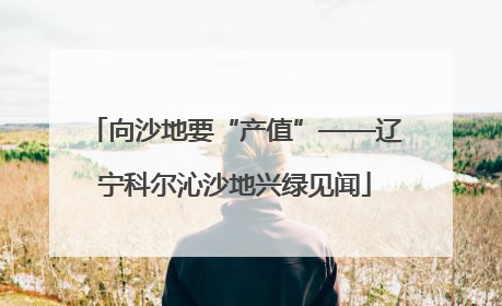 向沙地要“产值”——辽宁科尔沁沙地兴绿见闻