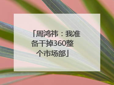 周鸿祎：我准备干掉360整个市场部