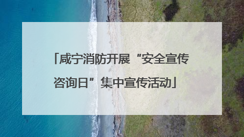咸宁消防开展“安全宣传咨询日”集中宣传活动