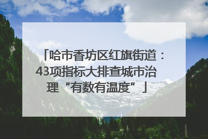 哈市香坊区红旗街道：43项指标大排查城市治理“有数有温度”