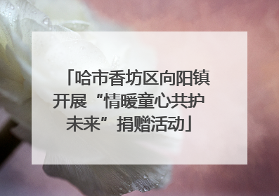 哈市香坊区向阳镇开展“情暖童心共护未来”捐赠活动