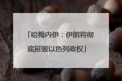 哈梅内伊：伊朗将彻底摧毁以色列政权