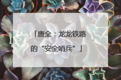 唐全：龙龙铁路的“安全哨兵”
