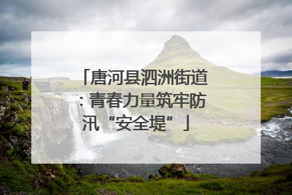 唐河县泗洲街道：青春力量筑牢防汛“安全堤”