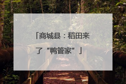 商城县：稻田来了“鸭管家”