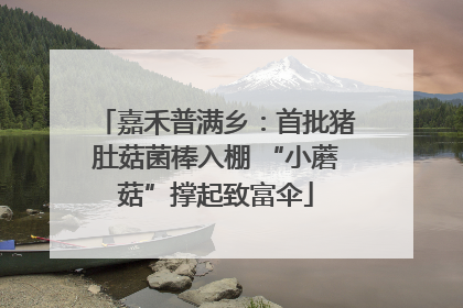 嘉禾普满乡：首批猪肚菇菌棒入棚 “小蘑菇”撑起致富伞