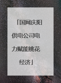 国网庆阳供电公司电力赋能桃花经济