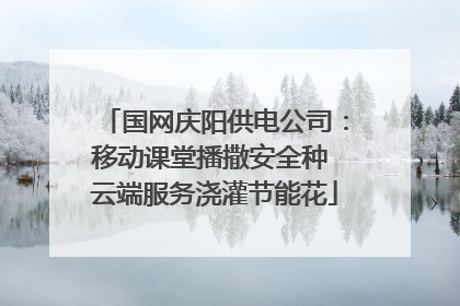国网庆阳供电公司：移动课堂播撒安全种 云端服务浇灌节能花
