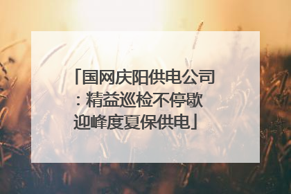 国网庆阳供电公司：精益巡检不停歇 迎峰度夏保供电