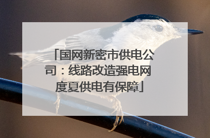 国网新密市供电公司：线路改造强电网 度夏供电有保障