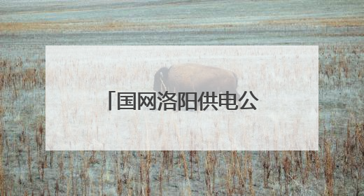 国网洛阳供电公司2025年社会责任发布会举行