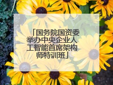 国务院国资委举办中央企业人工智能首席架构师特训班