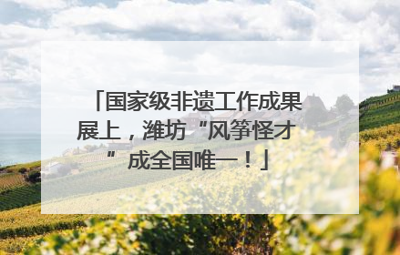 国家级非遗工作成果展上，潍坊“风筝怪才”成全国唯一！