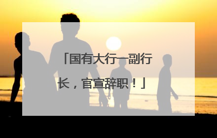 国有大行一副行长，官宣辞职！