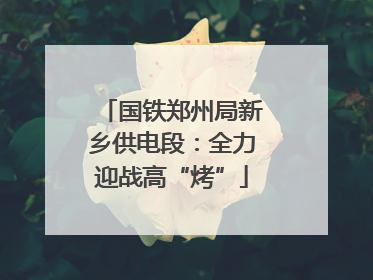 国铁郑州局新乡供电段：全力迎战高“烤”