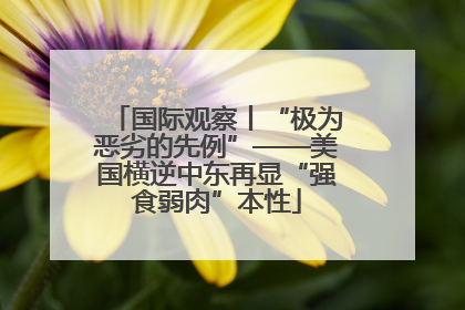 国际观察丨“极为恶劣的先例”——美国横逆中东再显“强食弱肉”本性