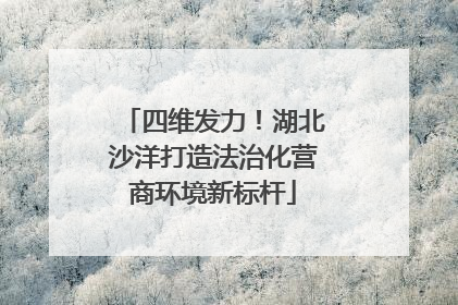 四维发力！湖北沙洋打造法治化营商环境新标杆