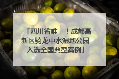 四川省唯一！成都高新区骑龙中水湿地公园入选全国典型案例