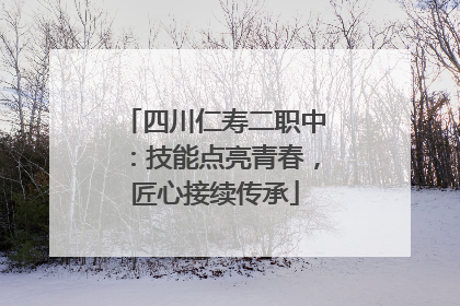 四川仁寿二职中：技能点亮青春，匠心接续传承
