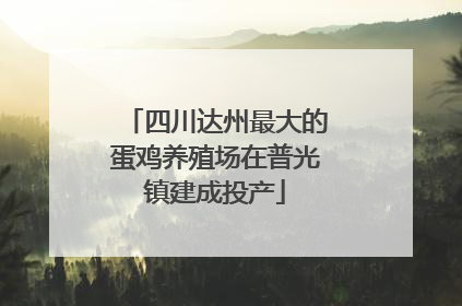 四川达州最大的蛋鸡养殖场在普光镇建成投产