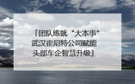 团队练就“大本事” 武汉霍尼特公司赋能头部车企智慧升级