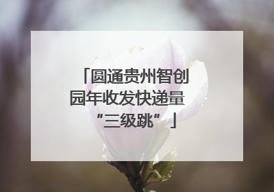 圆通贵州智创园年收发快递量“三级跳”