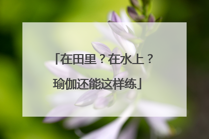 在田里？在水上？瑜伽还能这样练